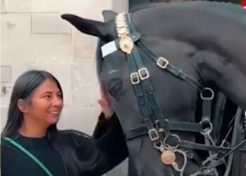 Cetak Sejarah! Ashish Limaye jadi Atlet India Pertama Peraih Emas di FEI Asian Equestrian Championships 2025