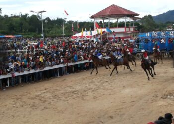 Dibagi 19 Balapan, Begini Laga Sengit 80 Kuda di Ajang Wisata Derby 2026 Bukittinggi-Agam