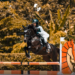 Arthayasa Open 2026 Gelar Ajang Kelas FEI CSI 1* Bulan Depan, Simak Jadwal Resminya!