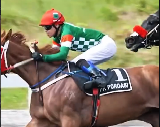 IHR Triple Crown Serie 1 & Pertiwi Cup 2026: Kuda Hercules Rebut Kemenangan di Kelas F-1.000 Meter