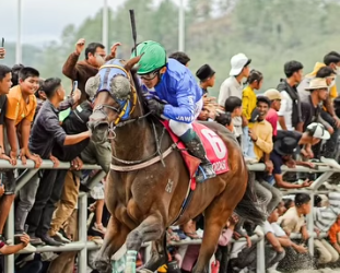 Dua Atlet Berkuda Indonesia Ikut Program Eventing Training Camp di Saumur Prancis