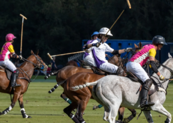 Penting Diketahui, Begini Regulasi Pelanggaran dan Hukuman Dalam Olahraga Polo Berkuda