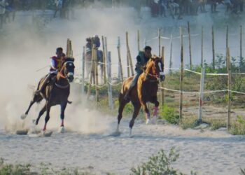 Dokumentasi Instagram Sumba_rental
