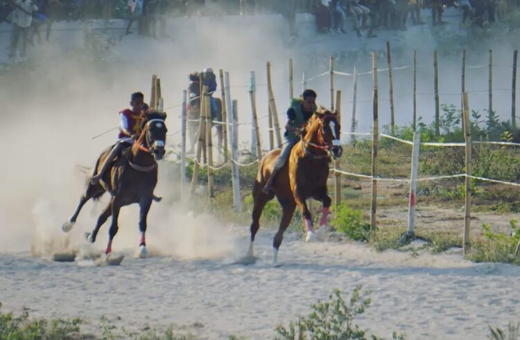 Dokumentasi Instagram Sumba_rental