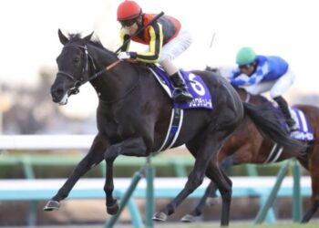 Dokumentasi Idol Horse