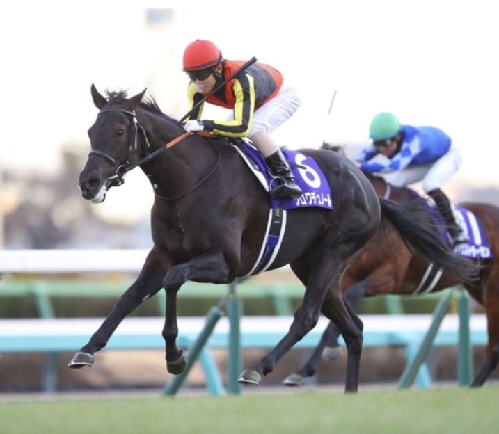 Dokumentasi Idol Horse