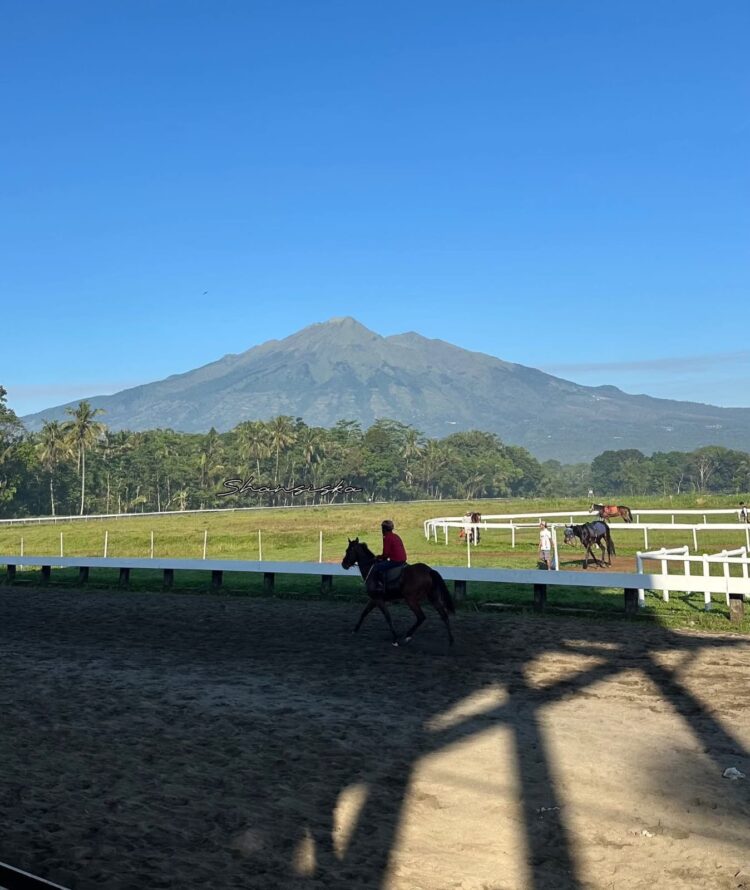 [13:52, 5/6/2026] Alfian Warkot (Ambon Berkuda): Ilustrasi Dokumentasi Facebook Pariwisata Jawa Tengah Berikut Hasil Drawing Triple Crown Serie II, Gantian Nara Eclipse Tantang Maxi of Khalim Maxi of Khalim akan menghadapi 11 kuda unggul lainnya di Indonesia's Horse Racing (IHR) Piala Raja Mangkunegaran & Triple Crown Serie 2 2026 pada Minggu (10/05/2026) mendatang. Kana Eclipse yang sebelumnya kalah tipis di Triple Crown Serie 1 di Lapangan Pacuan Kuda Sultan Agung, 4 April lalu, akan digantikan oleh saudaranya, Nara Eclipse di pacuan 1.600 m ini. Selain Nara, Maxi juga akan meladeni lagi tantangan Monochrome, Milea Guti, Sir Orbit, Suntora Berjaya (dh. Suntora Nagari), dan Cassius Warrior. Aurora of Khalim juga akan tetap setia mendampingi Maxi dalam race kali ini. Selain Nara Eclipse, akan ada Kin… [13:53, 5/6/2026] Alfian Warkot (Ambon Berkuda): Ilustrasi Dokumentasi Facebook Pariwisata Jawa Tengah