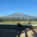 [13:52, 5/6/2026] Alfian Warkot (Ambon Berkuda): Ilustrasi Dokumentasi Facebook Pariwisata Jawa Tengah Berikut Hasil Drawing Triple Crown Serie II, Gantian Nara Eclipse Tantang Maxi of Khalim Maxi of Khalim akan menghadapi 11 kuda unggul lainnya di Indonesia's Horse Racing (IHR) Piala Raja Mangkunegaran & Triple Crown Serie 2 2026 pada Minggu (10/05/2026) mendatang. Kana Eclipse yang sebelumnya kalah tipis di Triple Crown Serie 1 di Lapangan Pacuan Kuda Sultan Agung, 4 April lalu, akan digantikan oleh saudaranya, Nara Eclipse di pacuan 1.600 m ini. Selain Nara, Maxi juga akan meladeni lagi tantangan Monochrome, Milea Guti, Sir Orbit, Suntora Berjaya (dh. Suntora Nagari), dan Cassius Warrior. Aurora of Khalim juga akan tetap setia mendampingi Maxi dalam race kali ini. Selain Nara Eclipse, akan ada Kin… [13:53, 5/6/2026] Alfian Warkot (Ambon Berkuda): Ilustrasi Dokumentasi Facebook Pariwisata Jawa Tengah