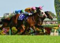Dokumentasi BloodHorse