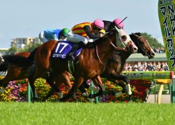 Dokumentasi BloodHorse