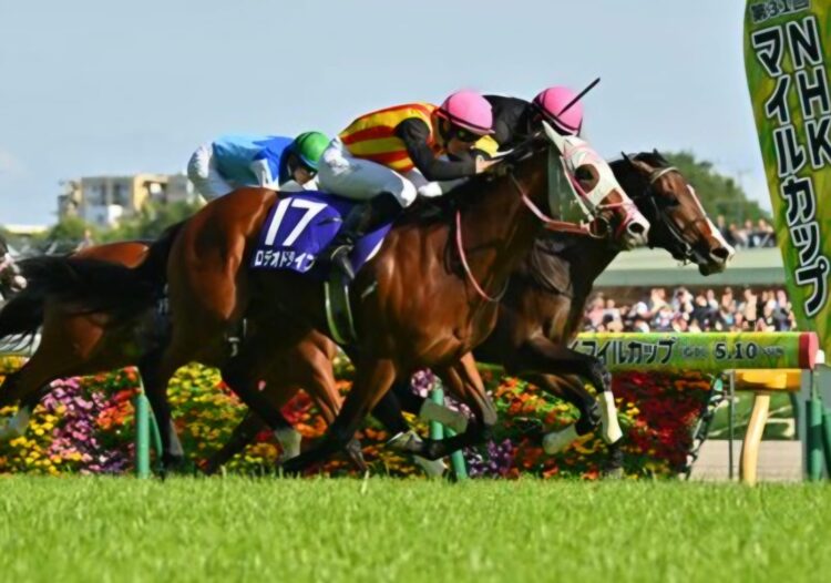 Dokumentasi BloodHorse