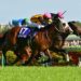 Dokumentasi BloodHorse