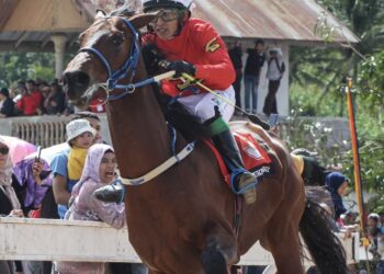 Dokumentasi Instagram aranshapicture
