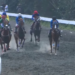 Dokumentasi Youtube Indonesia Horse Racing