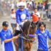 Dokumentasi Facebook Bendang Stable