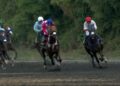 Dokumentasi Youtube Indonesia's Horse Racing
