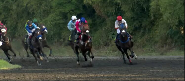 Dokumentasi Youtube Indonesia's Horse Racing