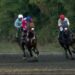 Dokumentasi Youtube Indonesia's Horse Racing
