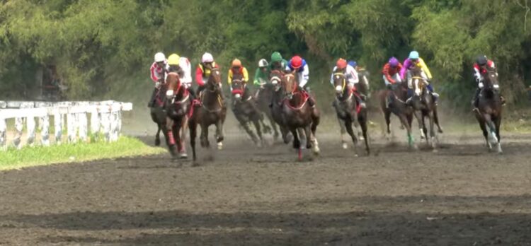Dokumentasi Youtube Indonesia's Horse Racing