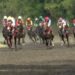 Dokumentasi Youtube Indonesia's Horse Racing