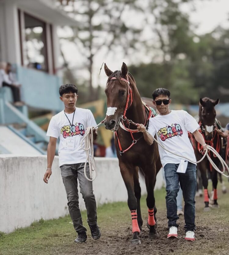 Dokumentasi Instagram Galeri Kuda Pacu Sumbar