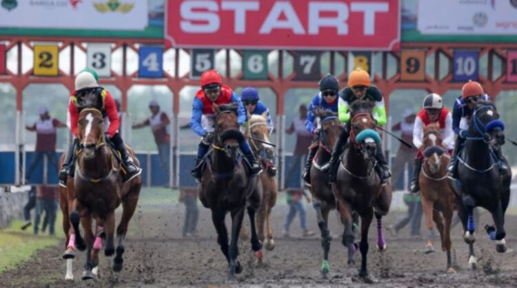 Dokumentasi Indonesia's Horse Racing