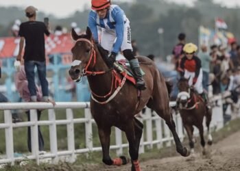 Dokumentasi Instagram Galeri kuda pacu SUMBAR