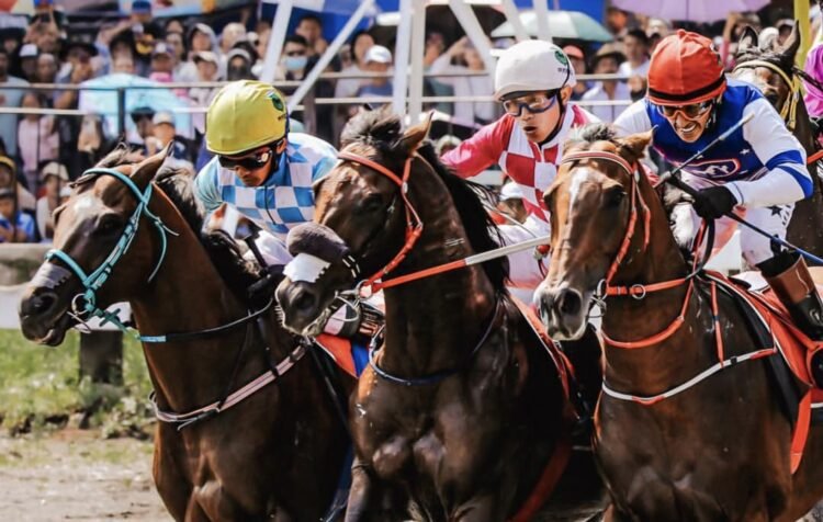 Dokumentasi Indonesia's Horse Racing