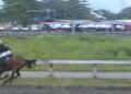 Ilustrasi/Dokumentasi Indonesia's Horse Racing