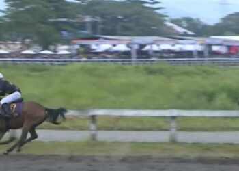 Ilustrasi/Dokumentasi Indonesia's Horse Racing