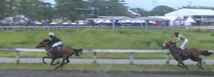 Ilustrasi/Dokumentasi Indonesia's Horse Racing