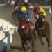 Dokumentasi Indonesia's Horse Racing