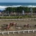 Dokumentasi Youtube Indonesia's Horse Racing