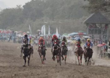Ilustrasi/ Dokumentasi Indonesia's Horse Racing