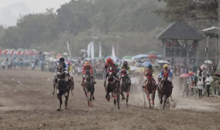 Ilustrasi/ Dokumentasi Indonesia's Horse Racing