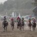 Ilustrasi/ Dokumentasi Indonesia's Horse Racing