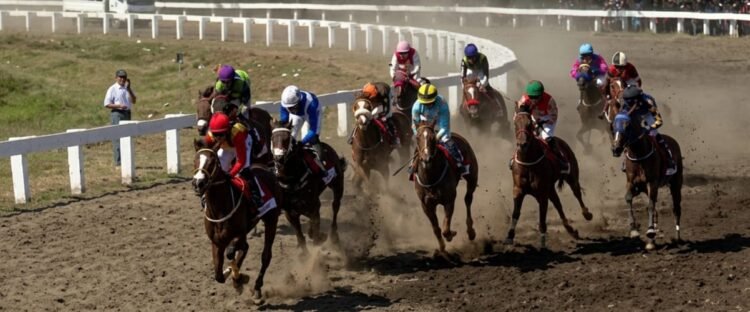 Ilustrasi/dokumentasi youtube Indonesia's Horse Racing