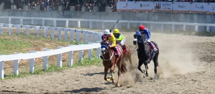 Ilustrasi/Dokumentasi Indonesia's Horse Racing