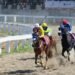 Ilustrasi/Dokumentasi Indonesia's Horse Racing
