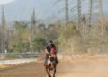 Dokumentasi Unggahan Facebook Prince Star Stable