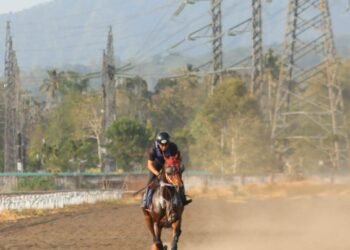 Dokumentasi Unggahan Facebook Prince Star Stable
