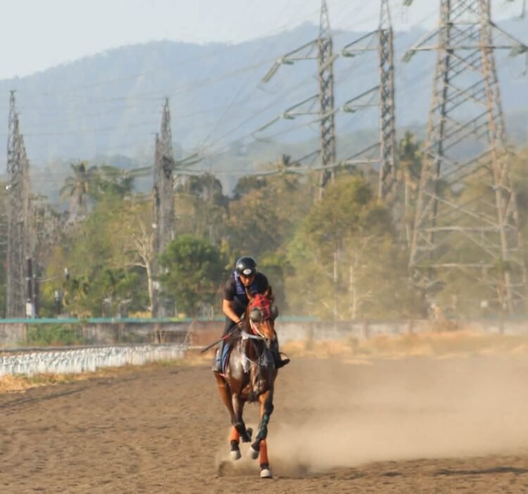 Dokumentasi Unggahan Facebook Prince Star Stable
