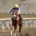 Dokumentasi Unggahan Facebook Prince Star Stable