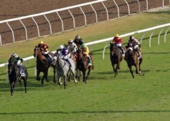Dokumentasi Unggahan Instagram Djon's Stable