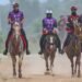Dokumentasi Unggahan Facebook Terengganu Internasional Endurance Park