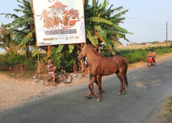 Dokumentasi Diskominfo Situbondo