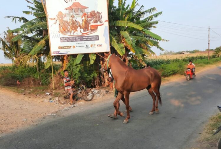 Dokumentasi Diskominfo Situbondo